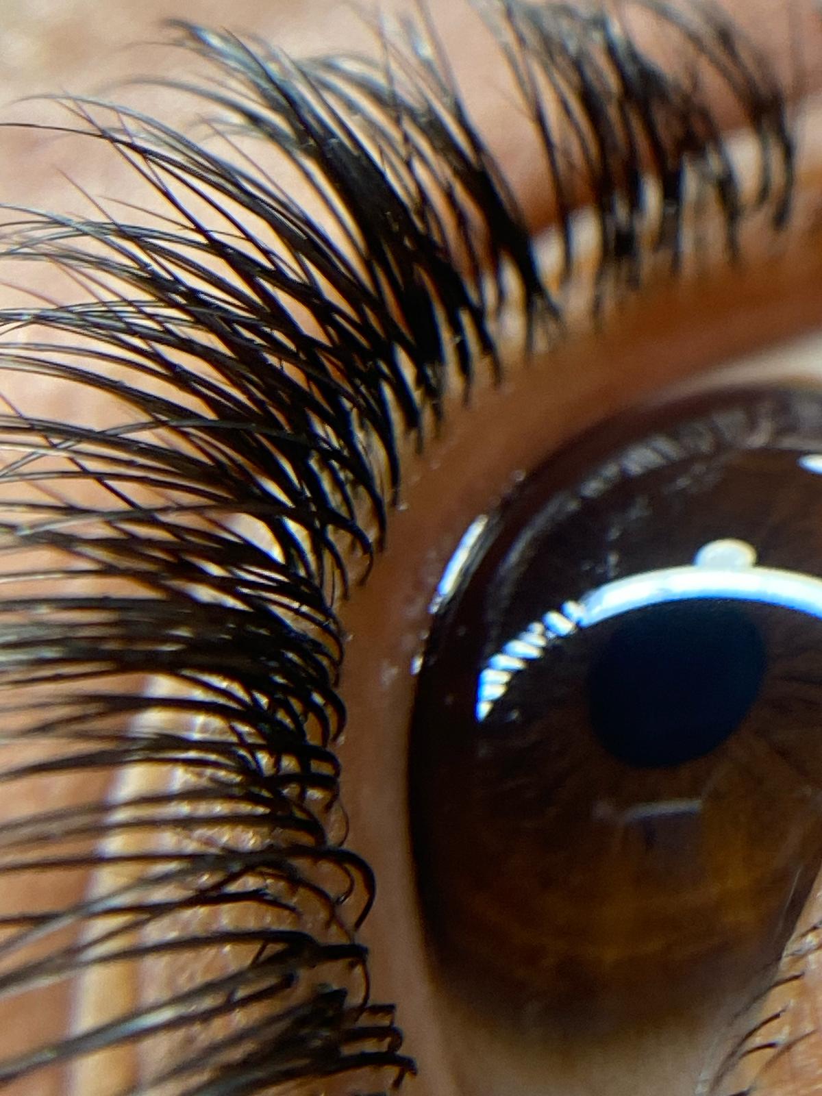 Master Class Lash Extensions: Principiantes Grupal