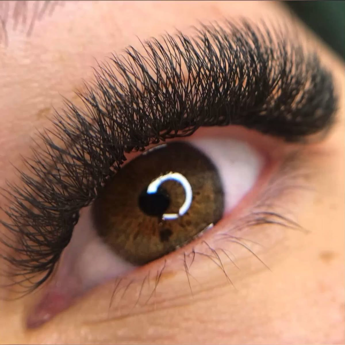 W6 Lashes