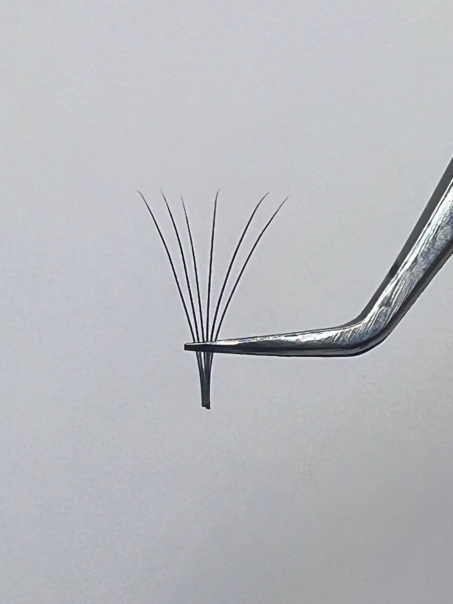 Lashes 6D C