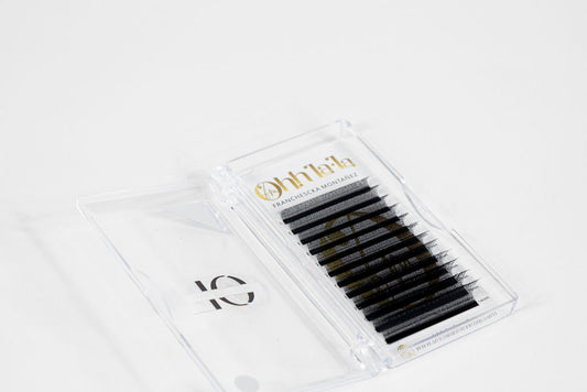 6DW Clover Lashes